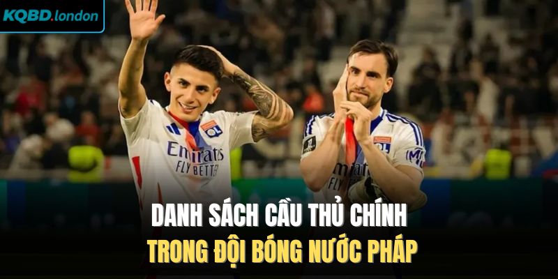 Danh sách cầu thủ chính trong đội bóng nước Pháp