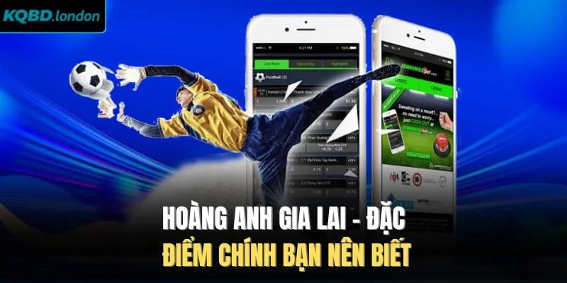 Hoàng Anh Gia Lai - Đặc Điểm Chính Bạn Nên Biết