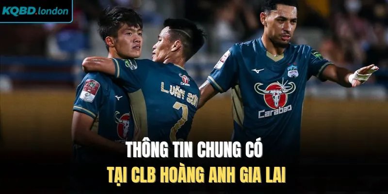 Thông tin chung có tại CLB Hoàng Anh Gia Lai