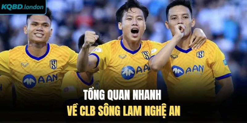 Tổng quan nhanh về CLB Sông Lam Nghệ An
