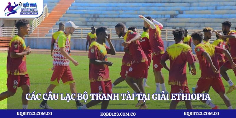 Các câu lạc bộ tranh tài tại giải Ethiopia