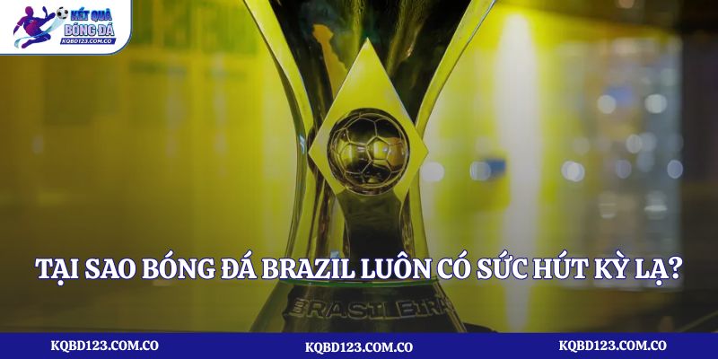 Tại sao bóng đá Brazil luôn có sức hút kỳ lạ?