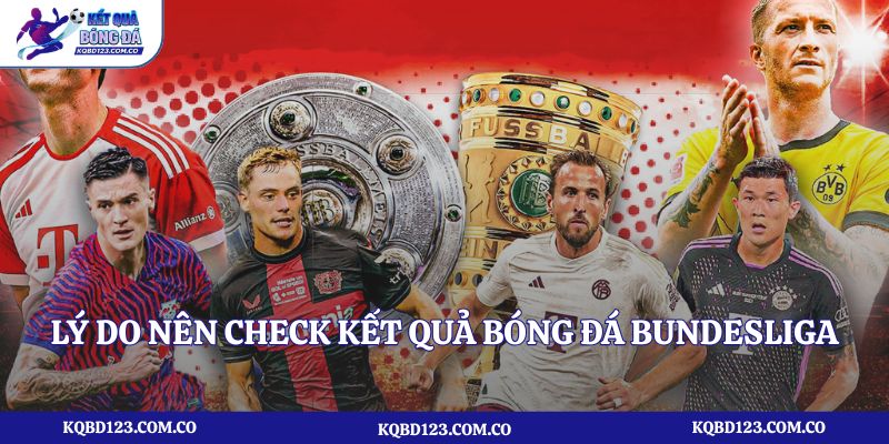 Lý do nên check kết quả bóng đá Bundesliga tại kqbd123.com.co?