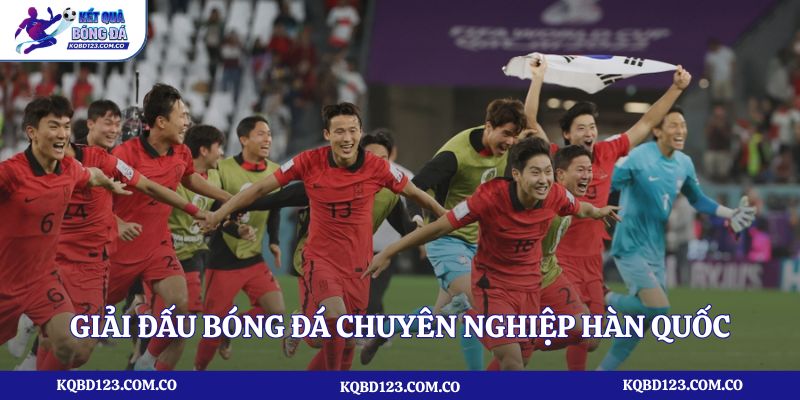 Giới thiệu giải đấu bóng đá chuyên nghiệp Hàn Quốc