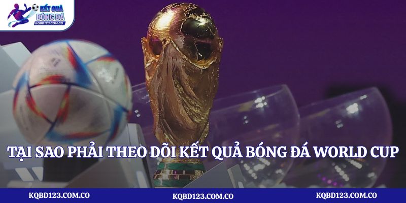 Tại sao phải theo dõi kết quả bóng đá World Cup trực tuyến?